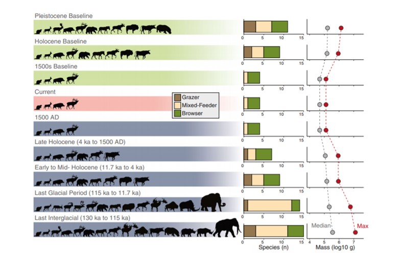 Figure-1-Changes-in-the-body-mass-and-diet-structure-of-a-western-European-herbivore-assemblage-during-the-late-Quaternary.