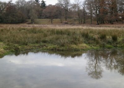 Fig. 12: Survey site 12 - pool on Adur floodplain