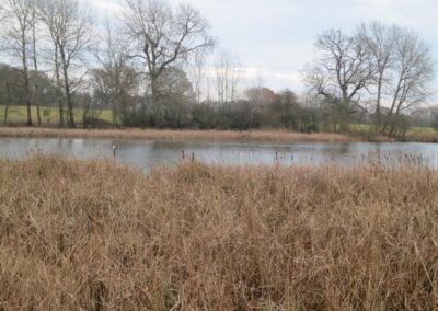 Fig. 16: Site 15 – Knepp mill Pond