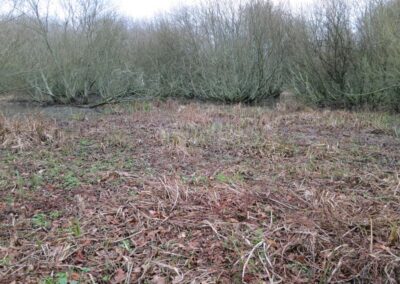 Fig. 17: Site 16 - Fen at head of Knepp mill Pond