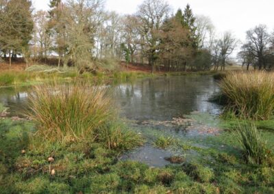Fig. 3: Survey site 1 - pool on Adur floodplain
