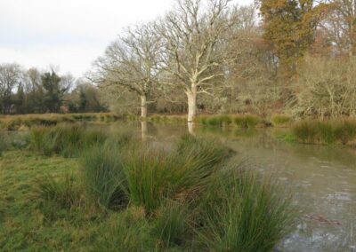 Fig. 4: Survey site 2 - pool on Adur floodplain