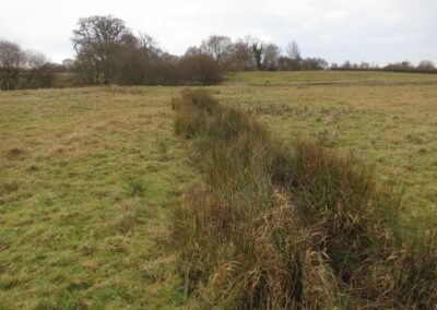 Fig. 10: Survey site 10 – Juncus-filled ditch on Adur floodplain
