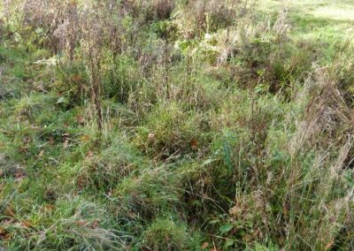 Location 9, Ditch off Pondtail Farm track