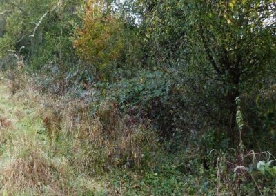 Location 10, fallow field on eastern side of A24.