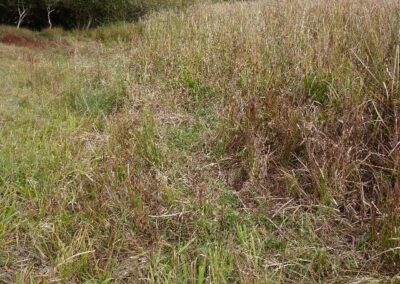 Location 1, Mill Pond edge