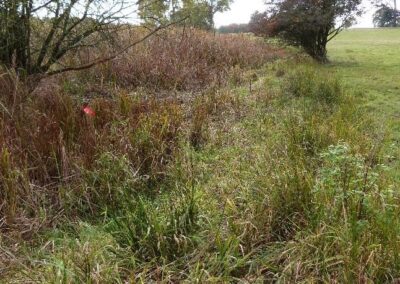 Location 1, Mill Pond edge