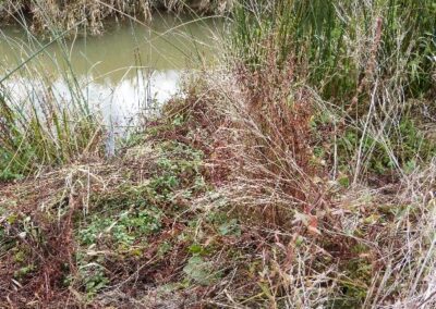 Location 3, River Adur near Bay Bridge