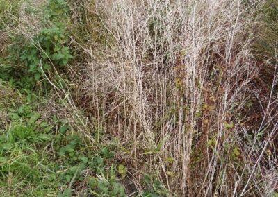 Location 3, River Adur near Bay Bridge