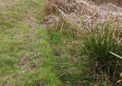 Location 4, River Adur