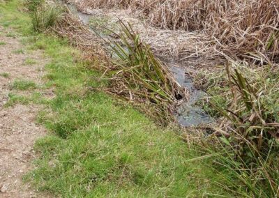 Location 4, River Adur