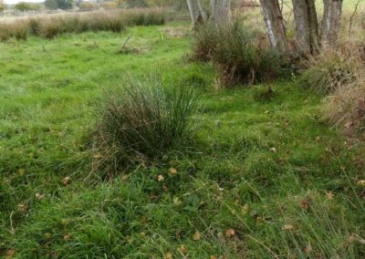 Location 5, Pound Far, dammed-off canalised River Adur