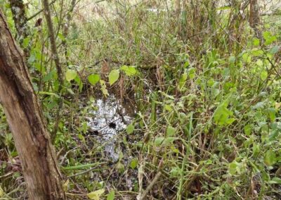 Location 14, Brookhouse Lagg