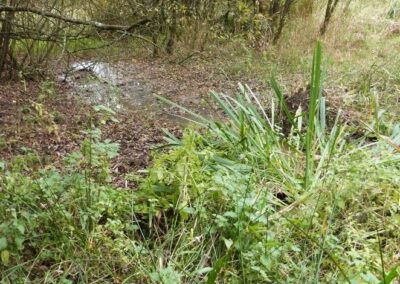 Location 14, Brookhouse Lagg