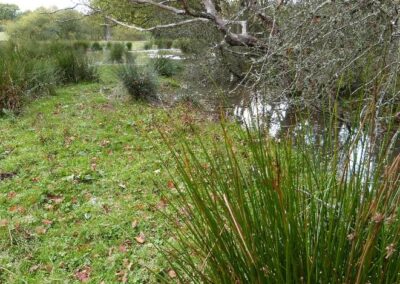 Location 15, Rifle Lagg